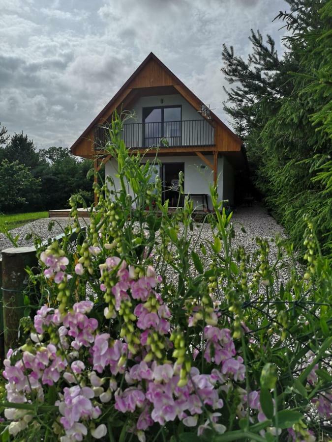Holiday home Grzybowo